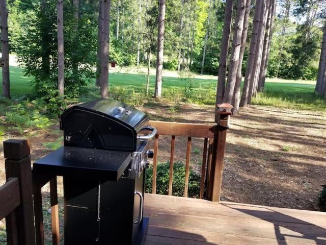 Crystal Mountain Cabin-Shuttle Pass Included! Thompsonville Екстериор снимка