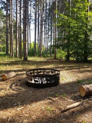 Crystal Mountain Cabin-Shuttle Pass Included! Thompsonville Екстериор снимка